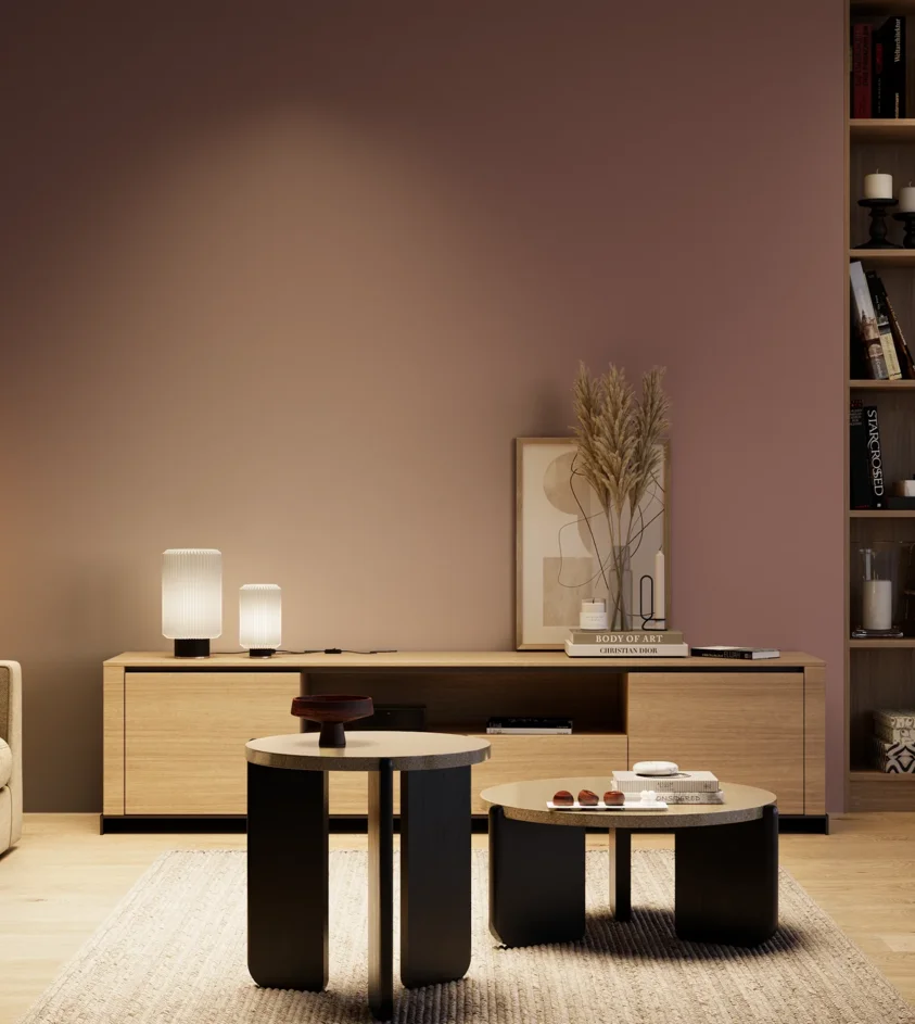 P10_SNIEZKA_salon_04_cieple_GREY_S5020-R