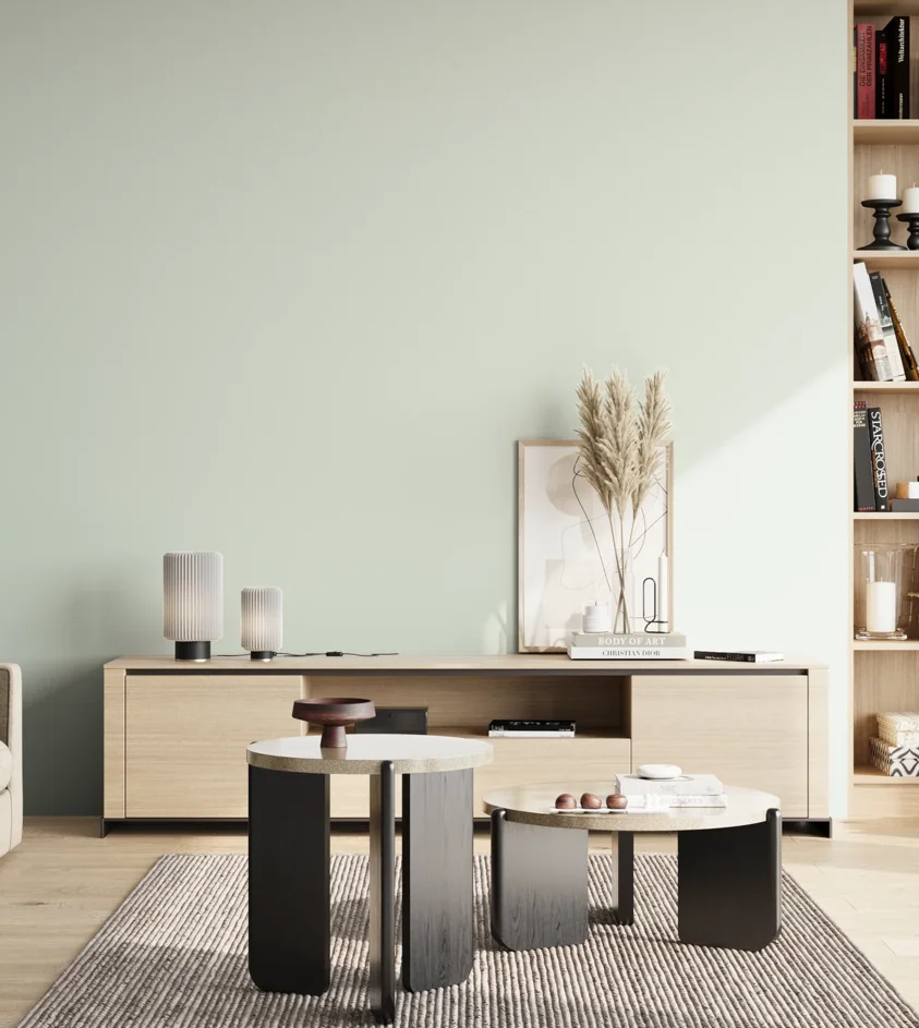 P10_SNIEZKA_salon_02_poludnie_GREY_S0505-G