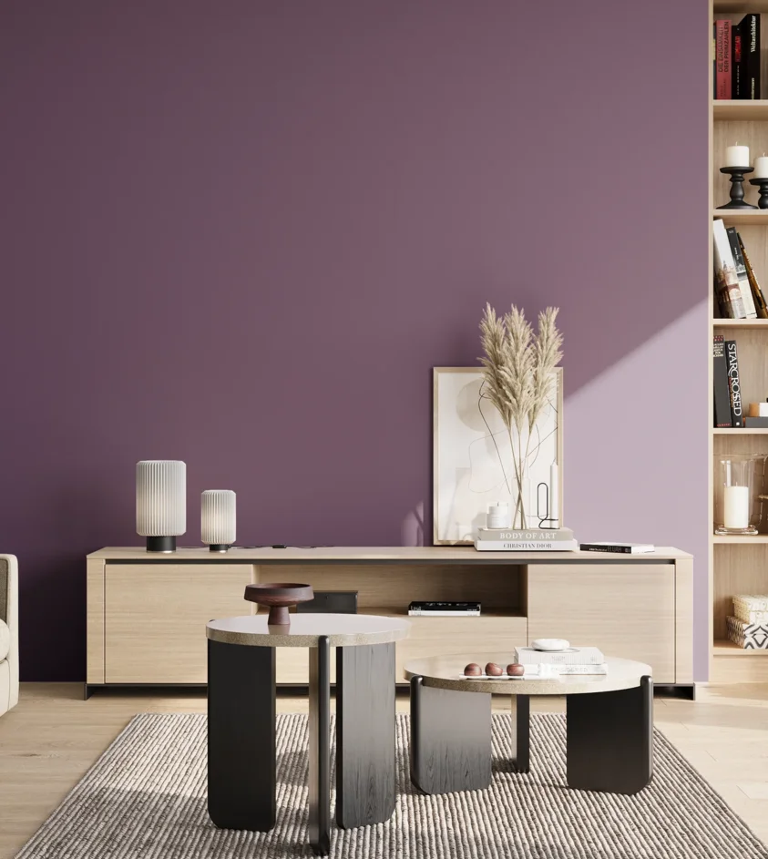 P10_SNIEZKA_salon_02_poludnie_GREY_S5030-R50B