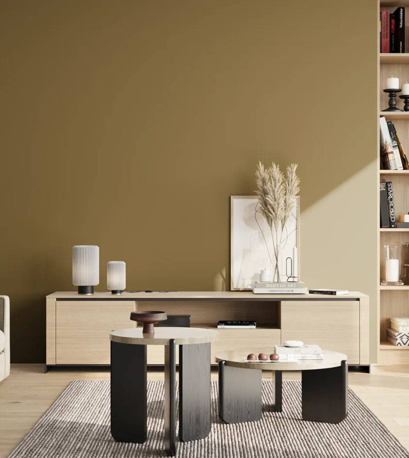 P10_SNIEZKA_salon_02_poludnie_GREY_S5030-Y
