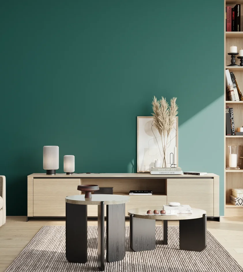 P10_SNIEZKA_salon_02_poludnie_GREY_S5040-B50G