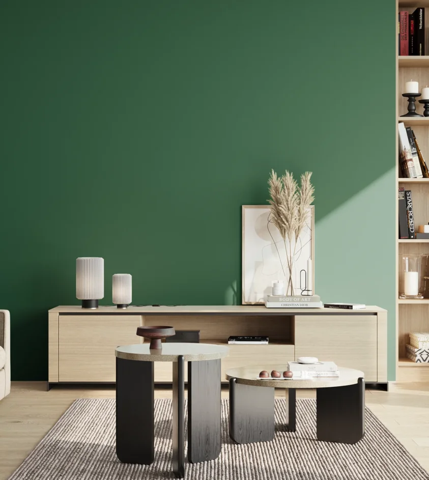 P10_SNIEZKA_salon_02_poludnie_GREY_S5040-G