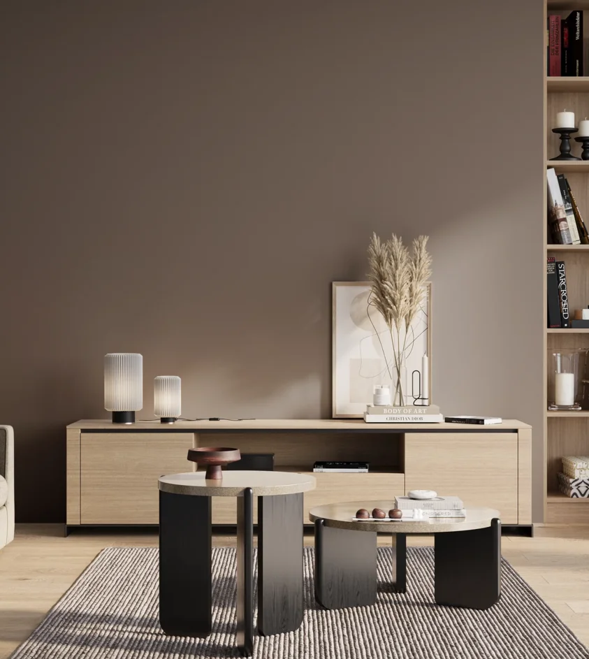 P10_SNIEZKA_salon_01_poranek_GREY_S6005-Y80R