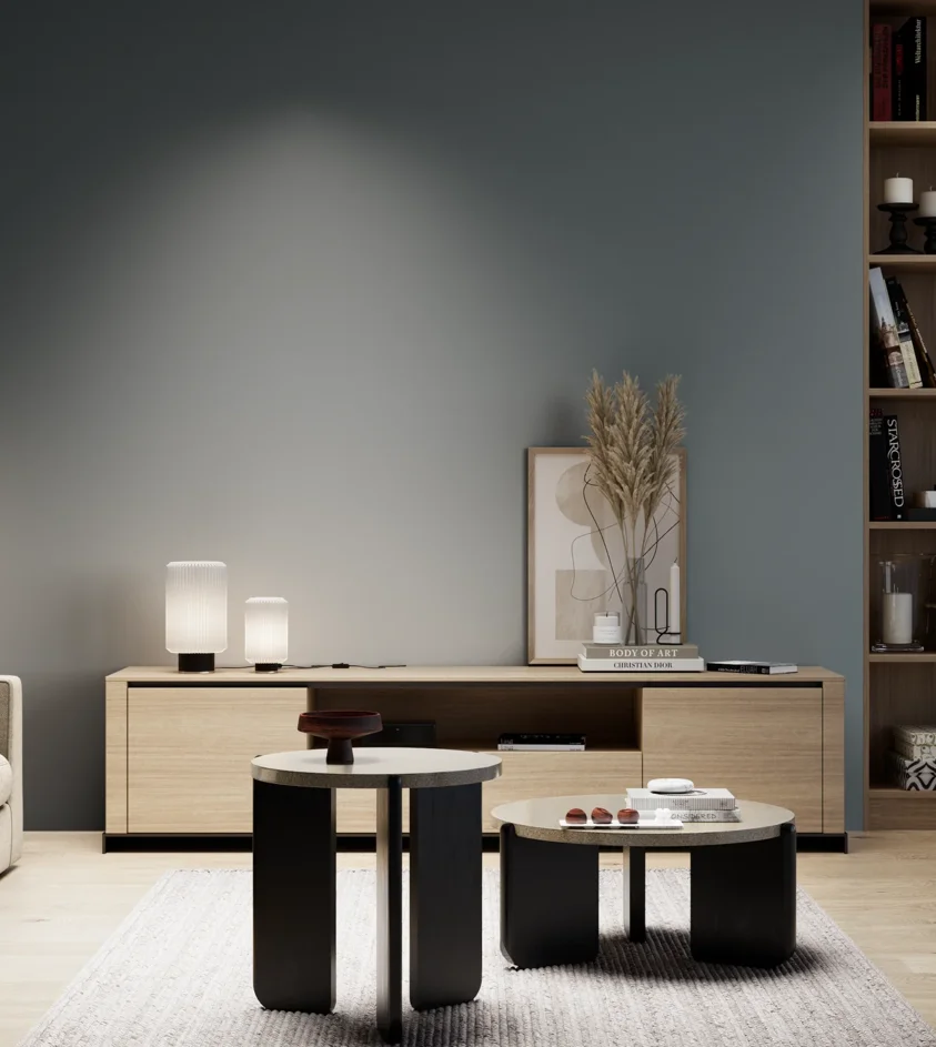 P10_SNIEZKA_salon_05_zimne_GREY_S6010-B10G