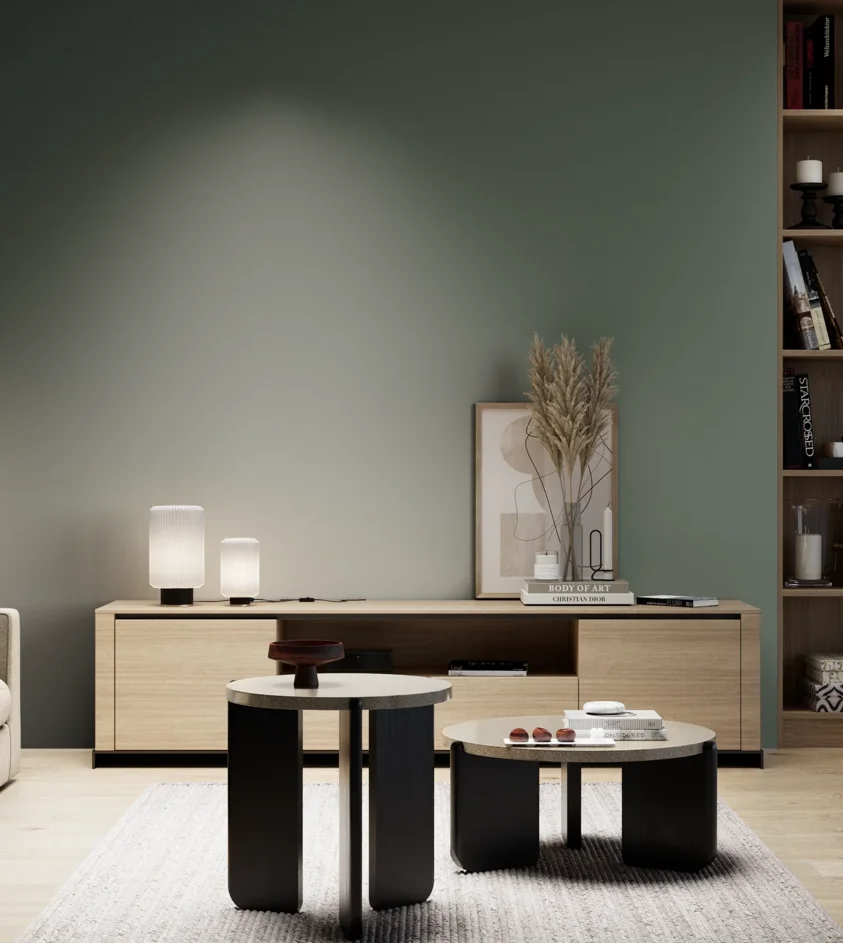 P10_SNIEZKA_salon_05_zimne_GREY_S6010-G10Y