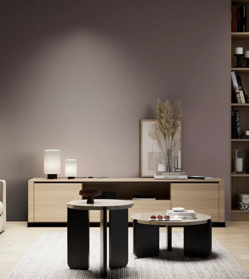 P10_SNIEZKA_salon_05_zimne_GREY_S6010-R10B