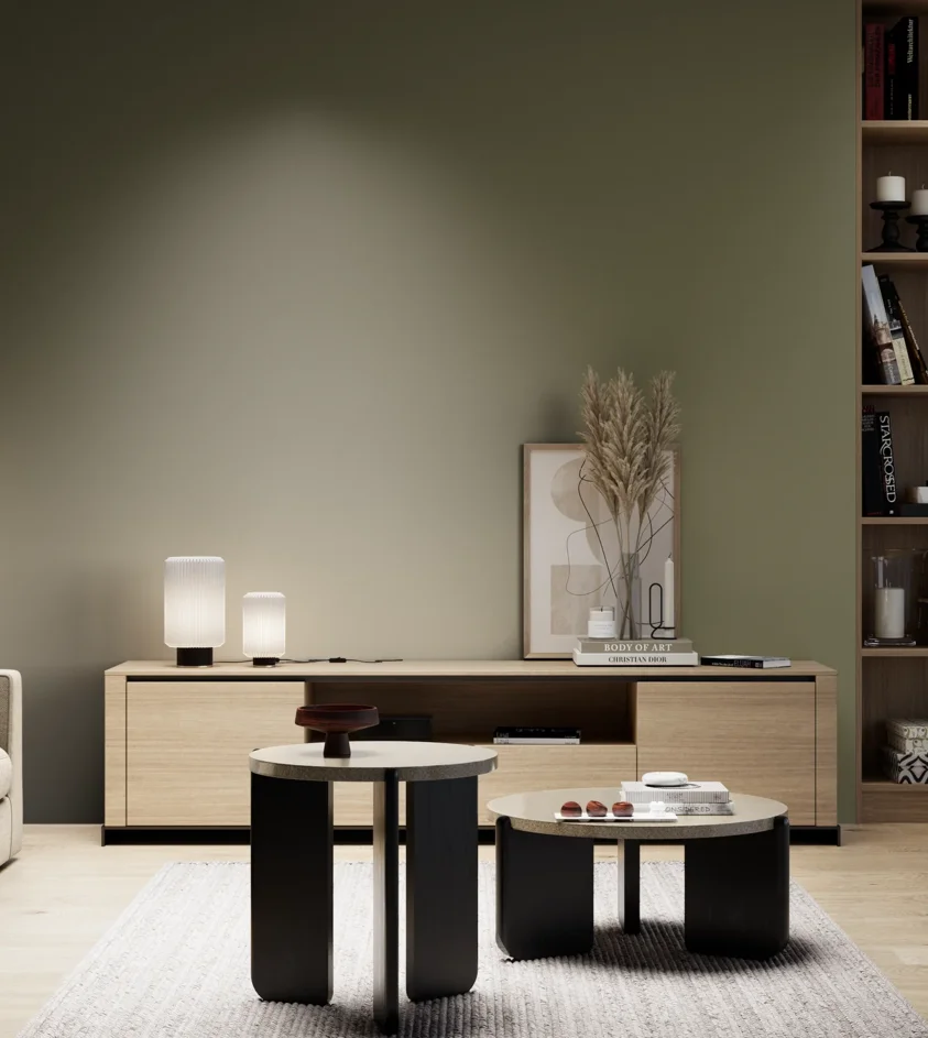 P10_SNIEZKA_salon_05_zimne_GREY_S6020-G70Y