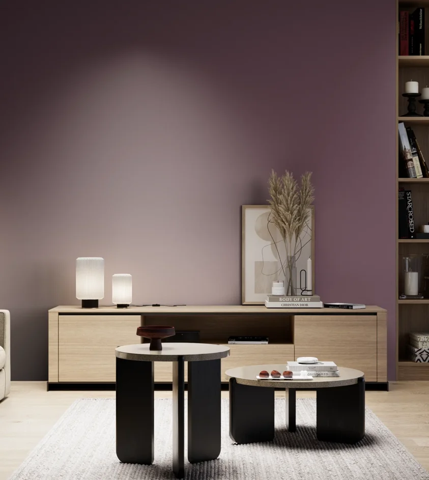 P10_SNIEZKA_salon_05_zimne_GREY_S6020-R30B
