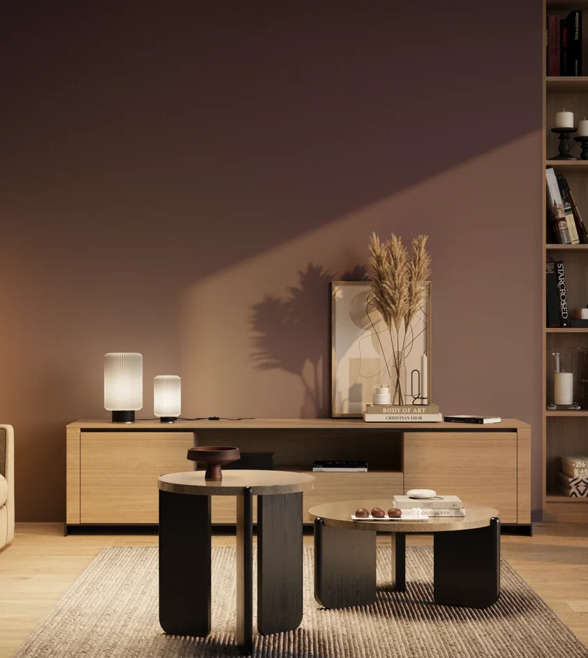 P10_SNIEZKA_salon_03_wieczor_GREY_S6020-R50B