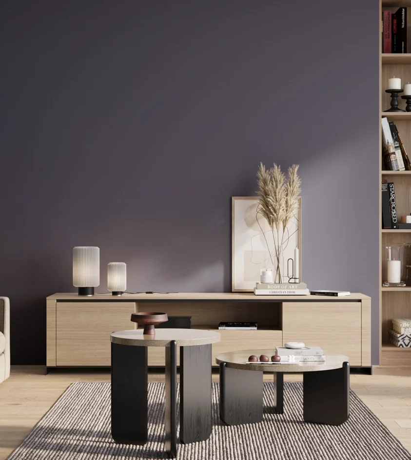 P10_SNIEZKA_salon_01_poranek_GREY_S6020-R70B