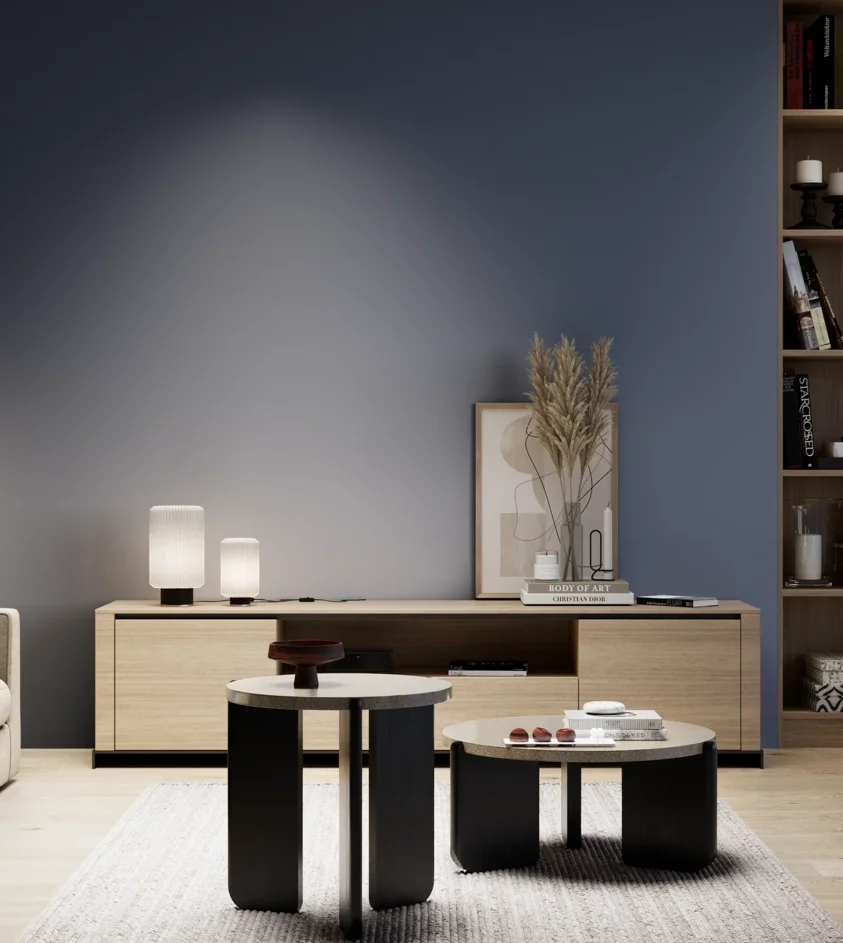 P10_SNIEZKA_salon_05_zimne_GREY_S6020-R80B