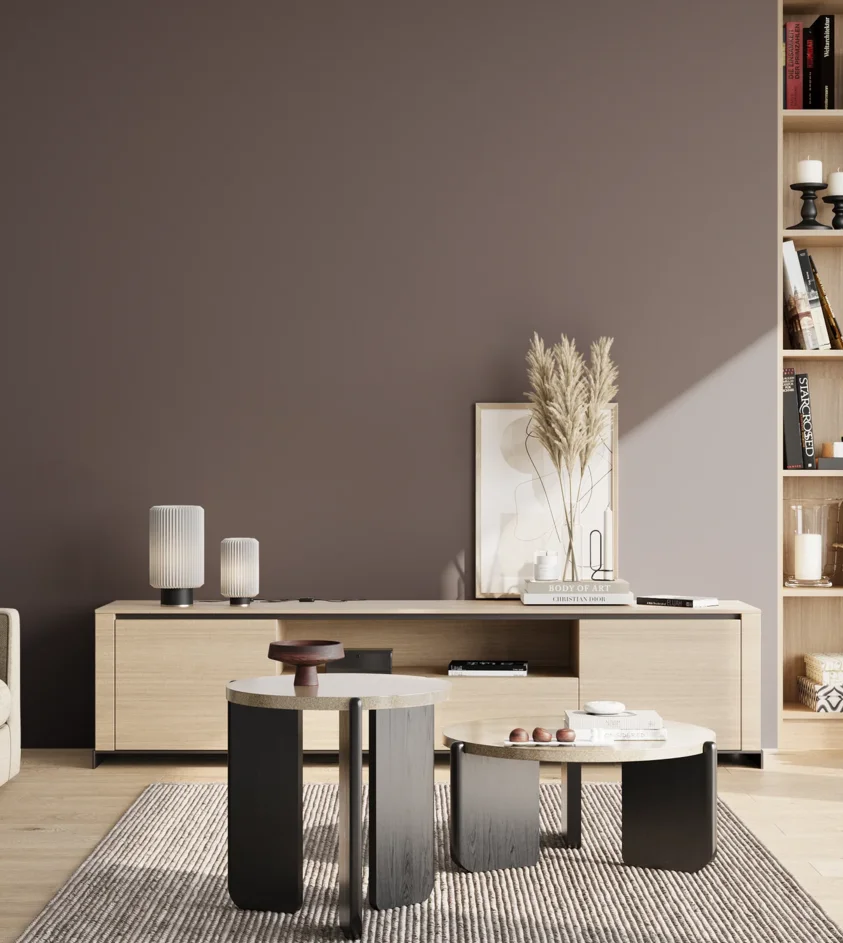 P10_SNIEZKA_salon_02_poludnie_GREY_S7005-R20B