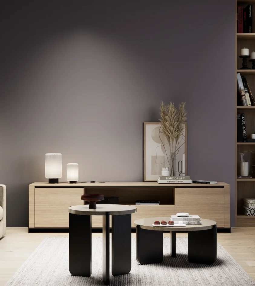P10_SNIEZKA_salon_05_zimne_GREY_S7010-R50B