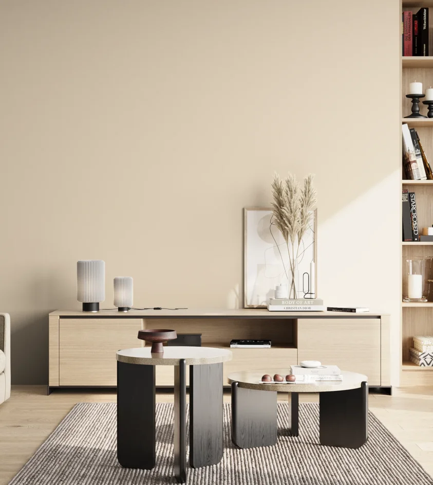 P10_SNIEZKA_salon_02_poludnie_GREY_S0505-Y50R