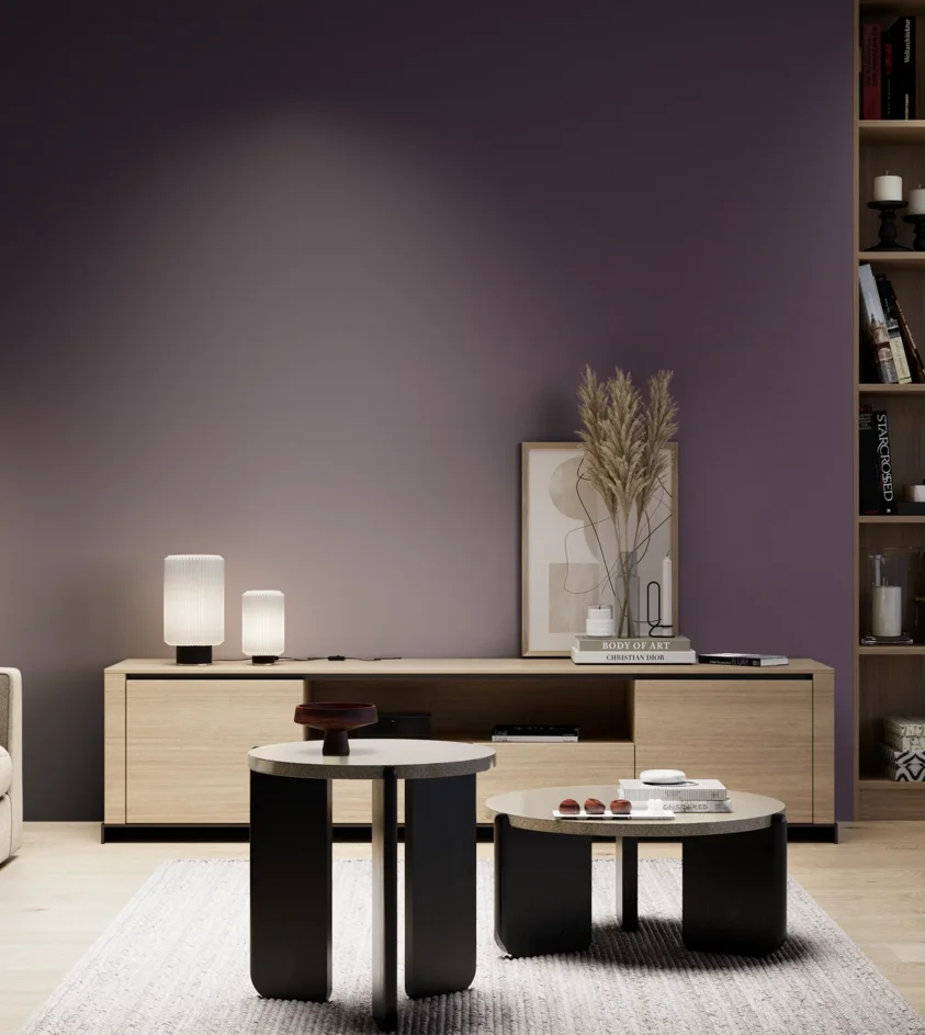 P10_SNIEZKA_salon_05_zimne_GREY_S7020-R50B