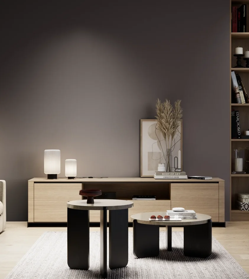 P10_SNIEZKA_salon_05_zimne_GREY_S8005-R20B