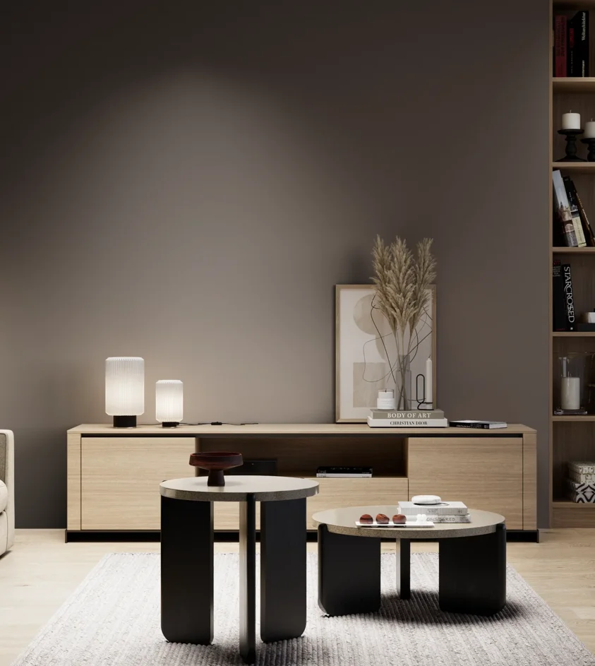 P10_SNIEZKA_salon_05_zimne_GREY_S8005-Y80R
