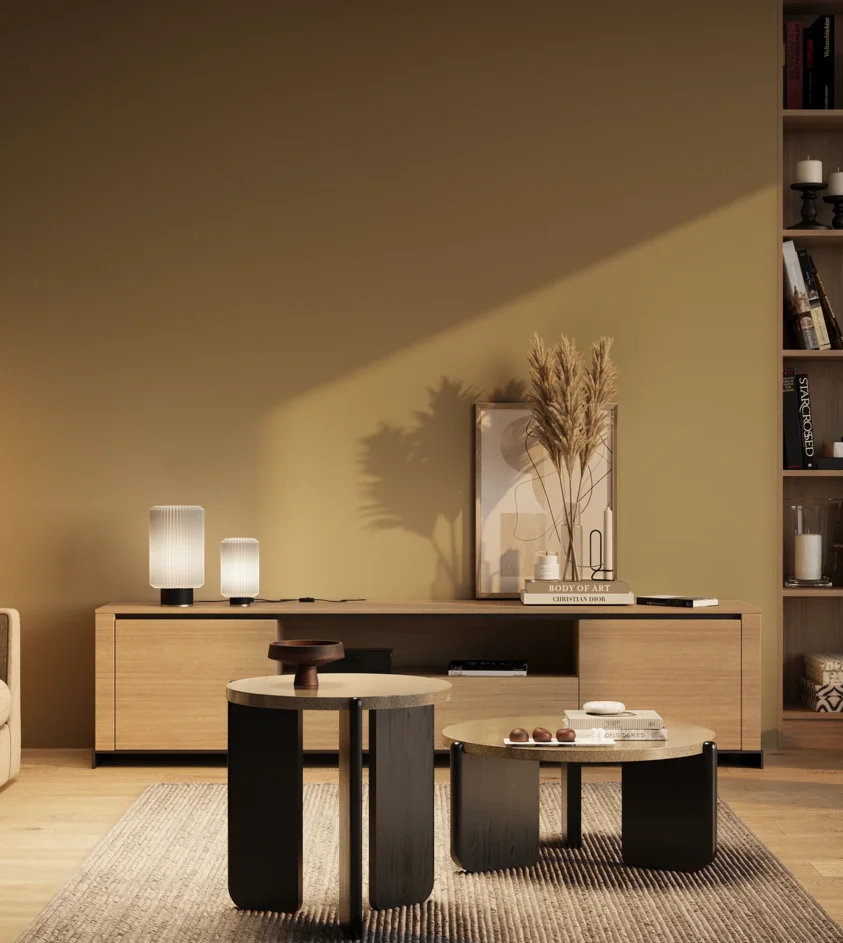 P10_SNIEZKA_salon_03_wieczor_GREY_RAL1020