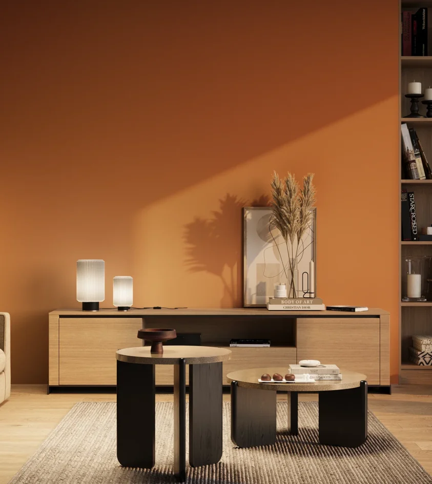 P10_SNIEZKA_salon_03_wieczor_GREY_RAL2008
