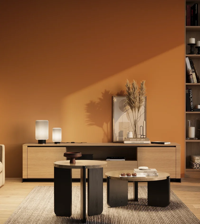 P10_SNIEZKA_salon_03_wieczor_GREY_RAL2011