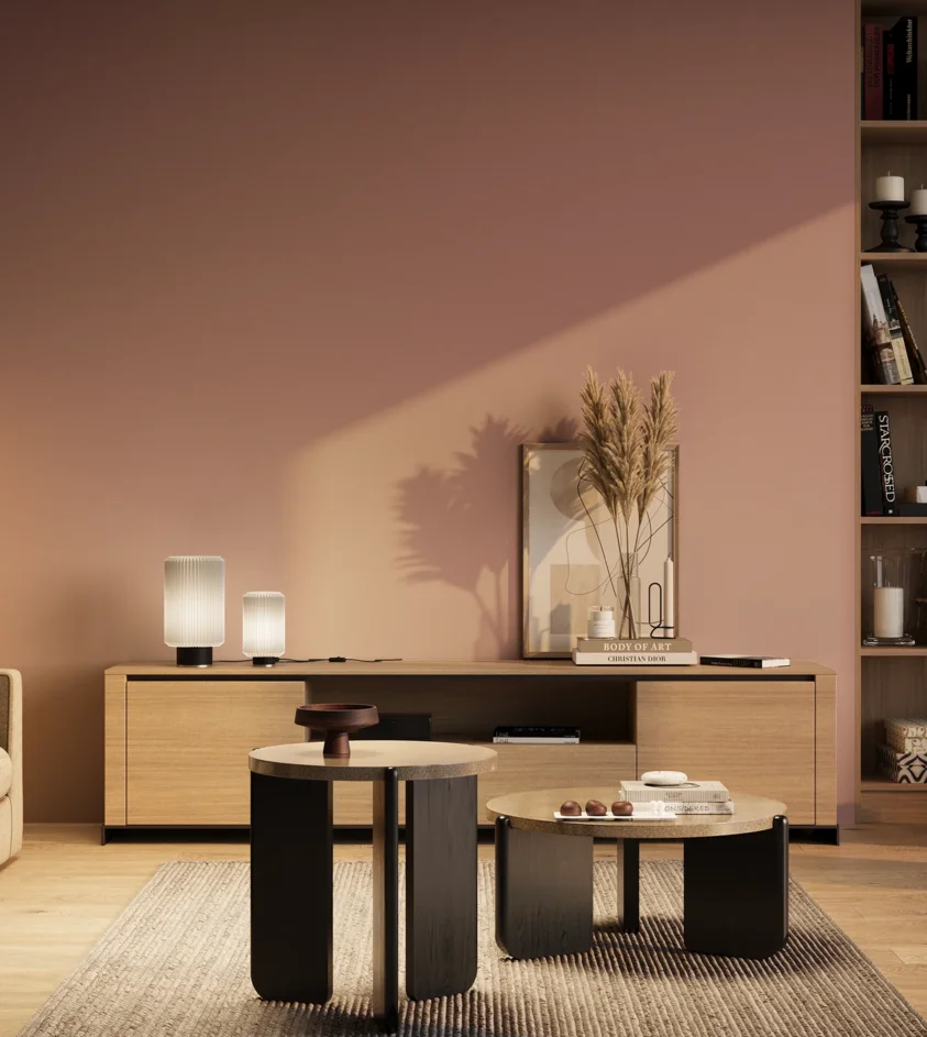P10_SNIEZKA_salon_03_wieczor_GREY_RAL3015