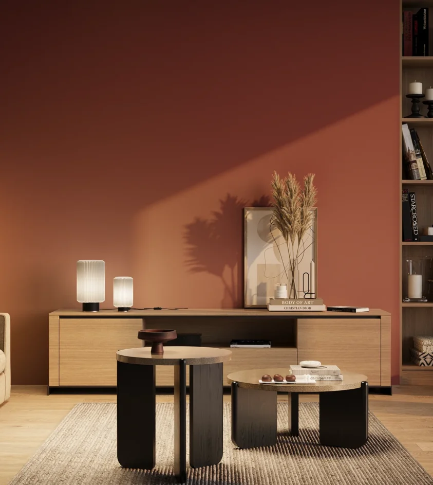 P10_SNIEZKA_salon_03_wieczor_GREY_RAL3031