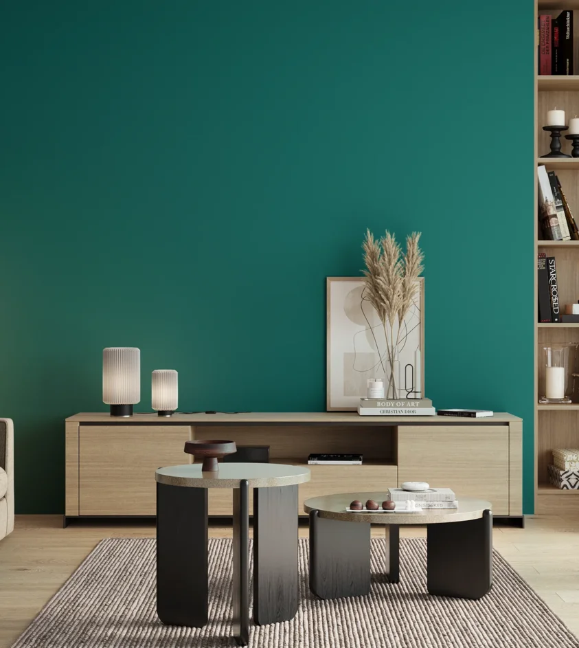 P10_SNIEZKA_salon_00_neutral_GREY_RAL5021