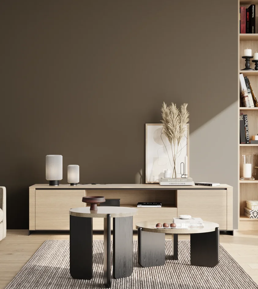 P10_SNIEZKA_salon_02_poludnie_GREY_RAL6014
