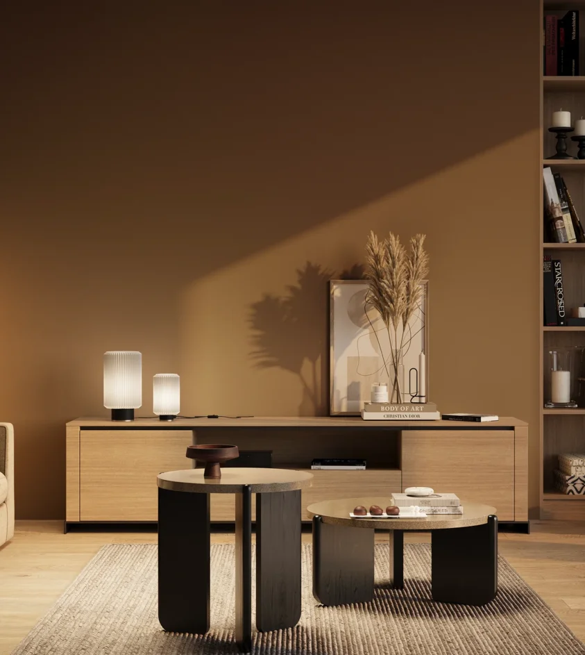 P10_SNIEZKA_salon_03_wieczor_GREY_RAL8008