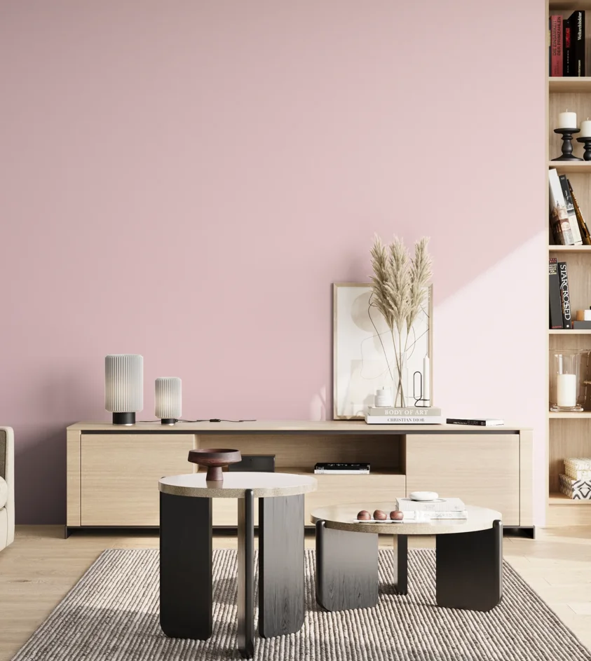 P10_SNIEZKA_salon_02_poludnie_GREY_S0515-R20B