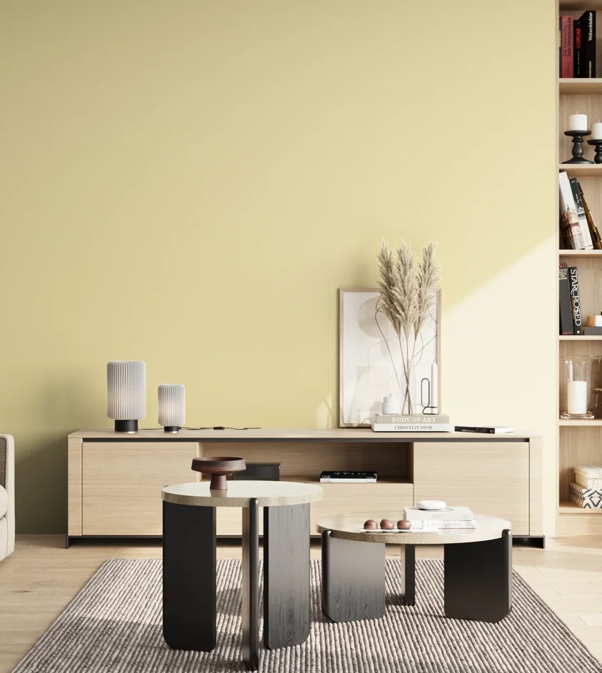 P10_SNIEZKA_salon_02_poludnie_GREY_S0515-Y