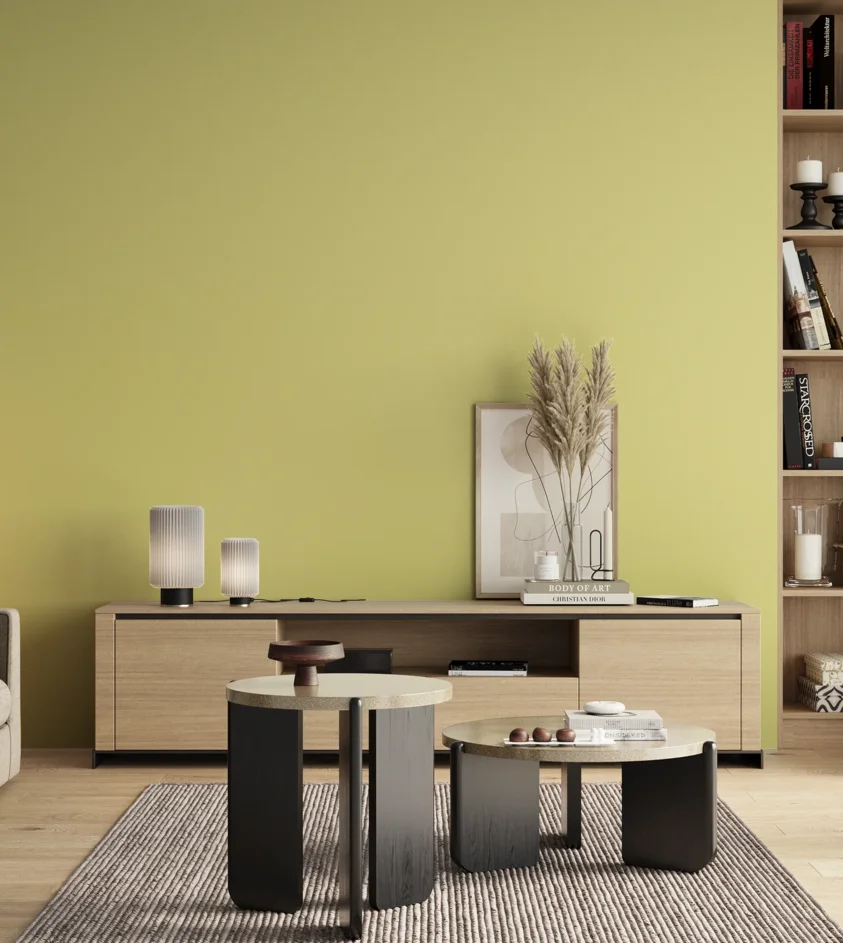 P10_SNIEZKA_salon_00_neutral_GREY_S0530-G80Y