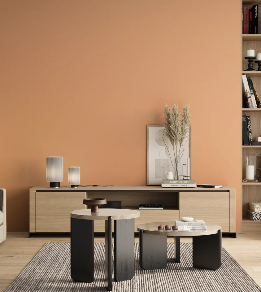 P10_SNIEZKA_salon_00_neutral_GREY_S0530-Y50R