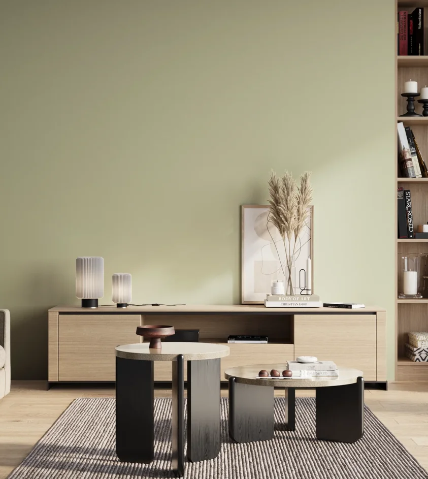 P10_SNIEZKA_salon_01_poranek_GREY_S1010-G60Y