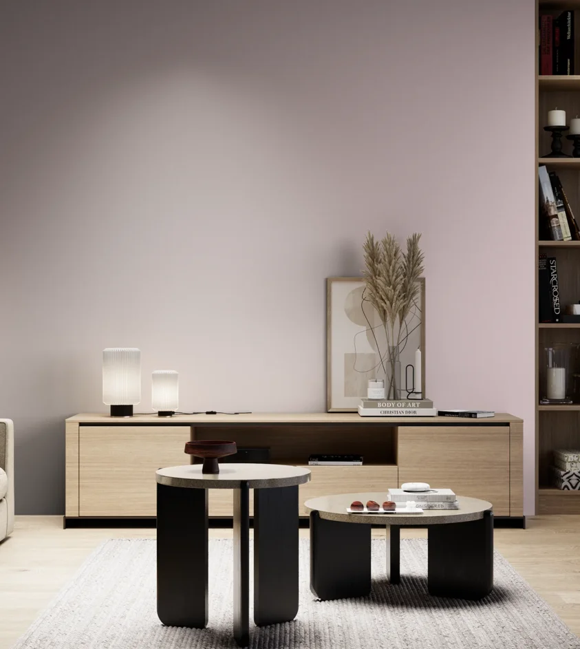 P10_SNIEZKA_salon_05_zimne_GREY_S1010-R20B