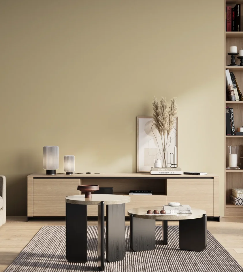 P10_SNIEZKA_salon_01_poranek_GREY_S1010-Y10R