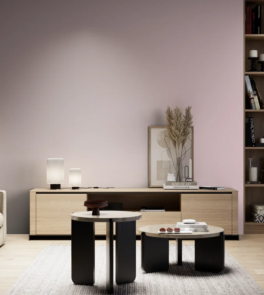 P10_SNIEZKA_salon_05_zimne_GREY_S1015-R20B