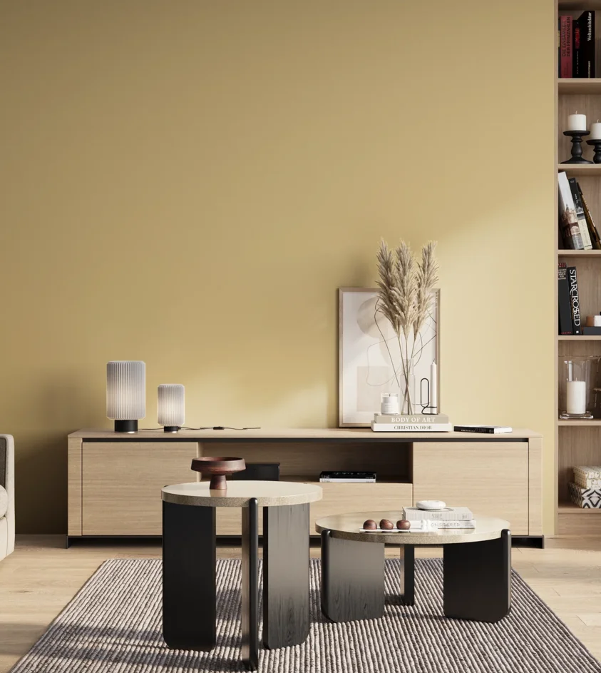 P10_SNIEZKA_salon_01_poranek_GREY_S1020-Y10R