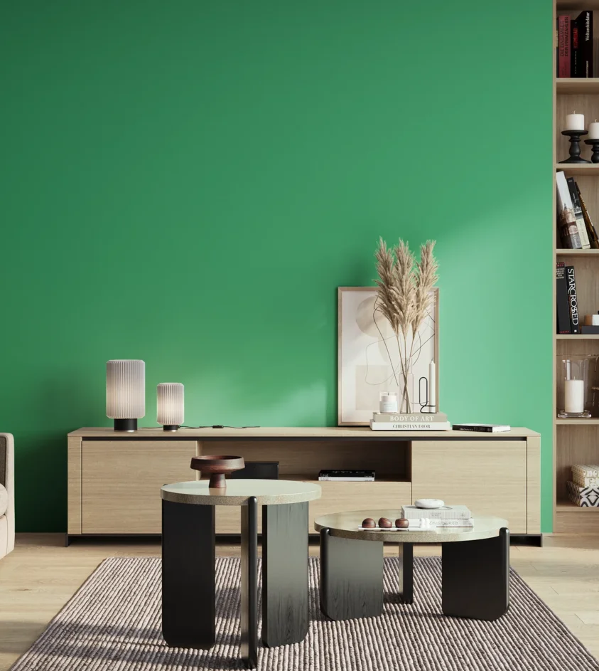 P10_SNIEZKA_salon_01_poranek_GREY_S1060-G