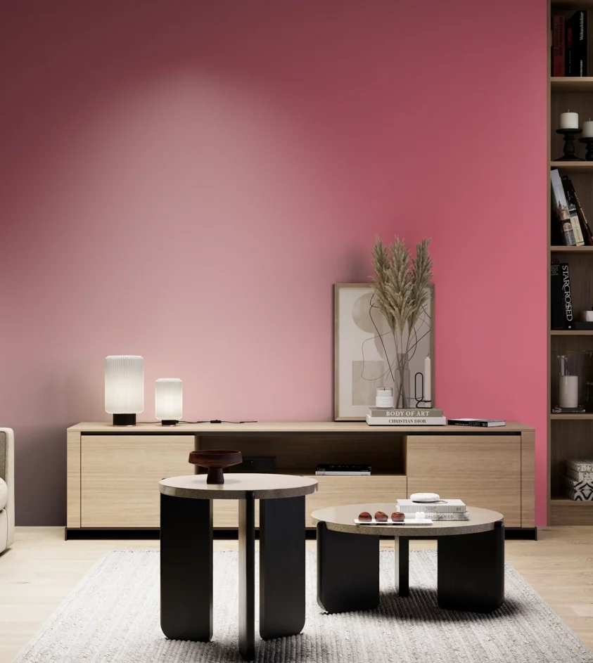 P10_SNIEZKA_salon_05_zimne_GREY_S1060-R10B