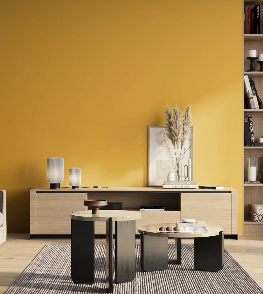 P10_SNIEZKA_salon_01_poranek_GREY_S1060-Y10R