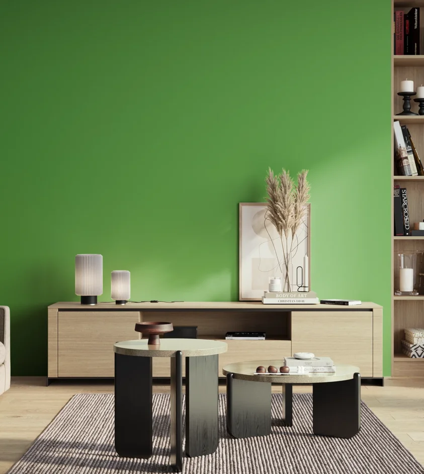 P10_SNIEZKA_salon_01_poranek_GREY_S1070-G20Y