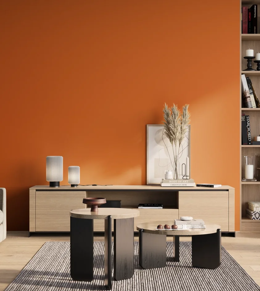 P10_SNIEZKA_salon_01_poranek_GREY_S1080-Y50R
