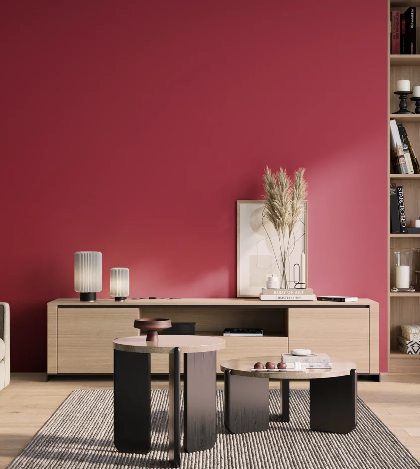 P10_SNIEZKA_salon_01_poranek_GREY_S1575-R10B
