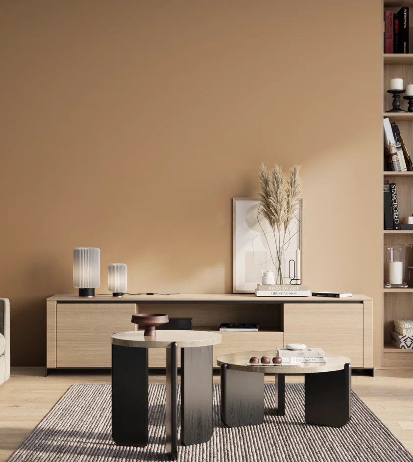 P10_SNIEZKA_salon_01_poranek_GREY_S2020-Y40R