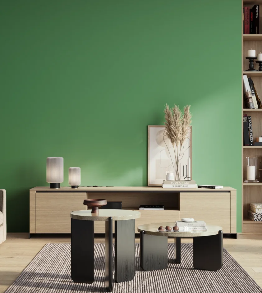P10_SNIEZKA_salon_01_poranek_GREY_S2050-G10Y