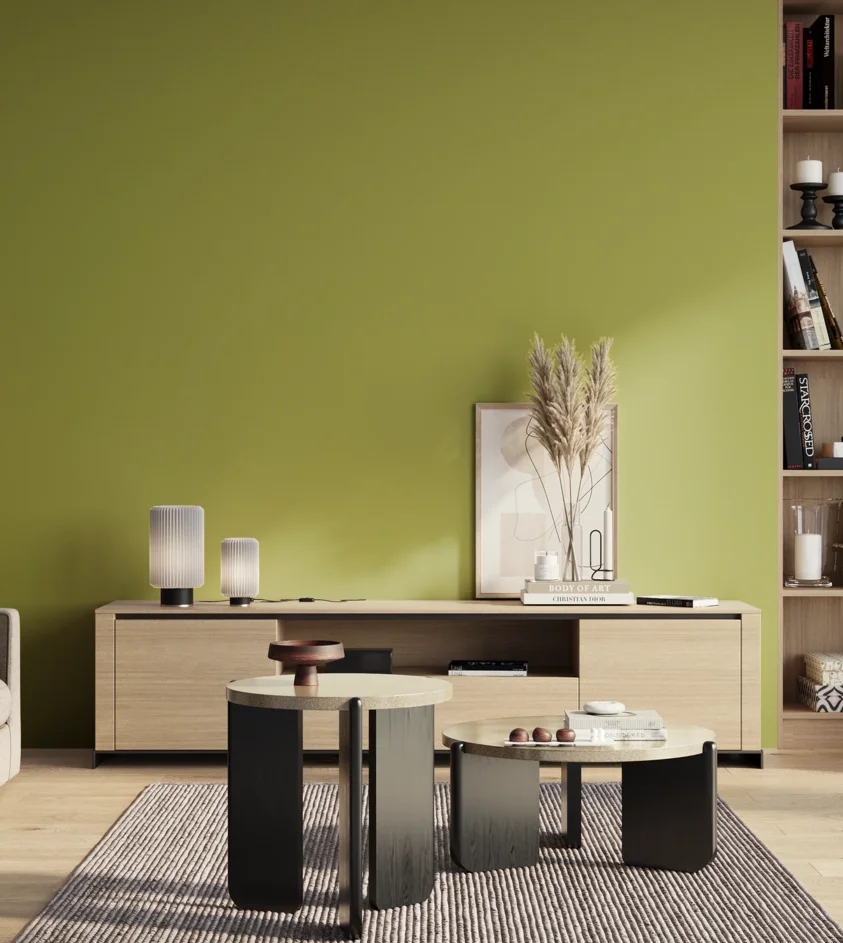 P10_SNIEZKA_salon_01_poranek_GREY_S2050-G60Y