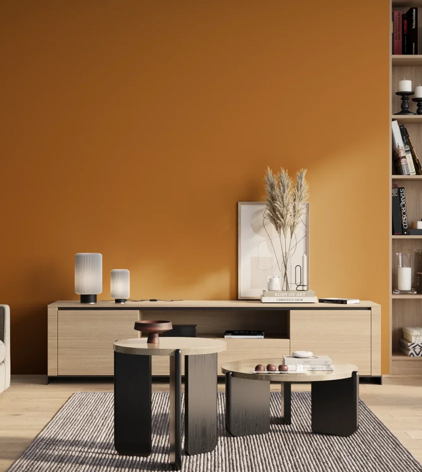 P10_SNIEZKA_salon_01_poranek_GREY_S2570-Y30R