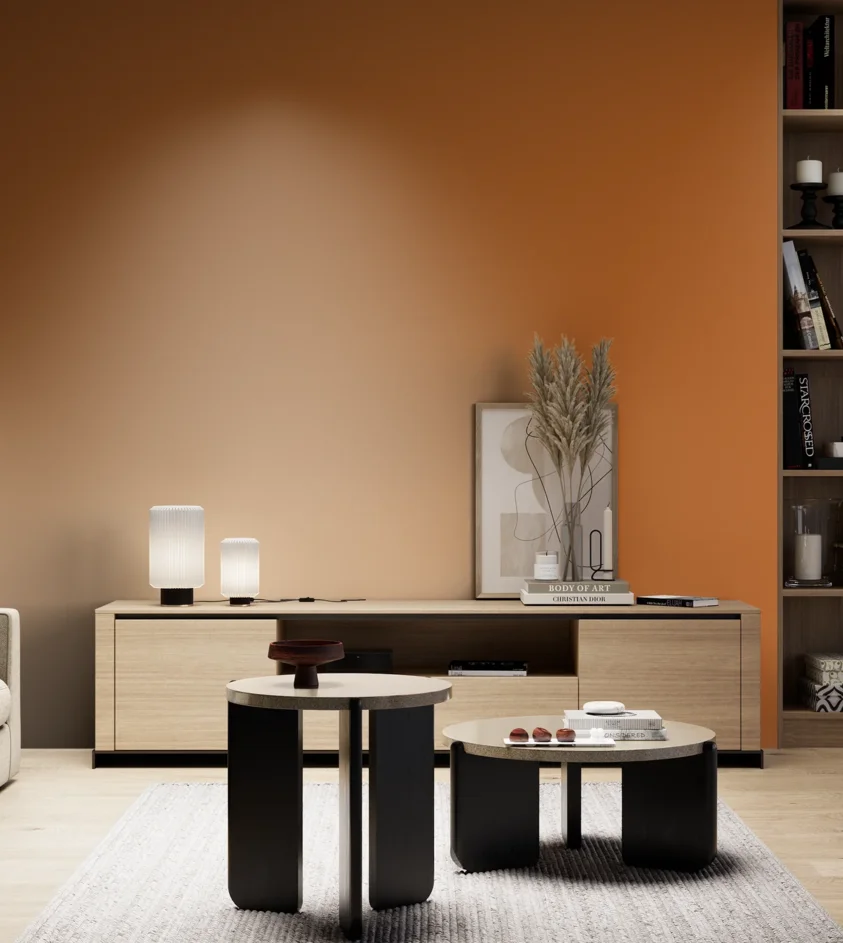 P10_SNIEZKA_salon_05_zimne_GREY_S2570-Y40R