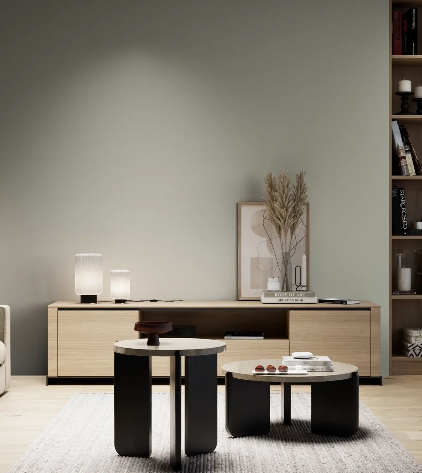 P10_SNIEZKA_salon_05_zimne_GREY_S3005-G50Y